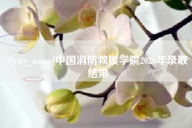 阜阳中国消防救援学院2020年录取结果
