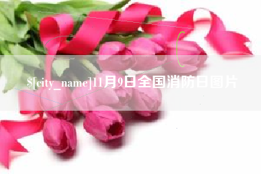 阜阳11月9日全国消防日图片