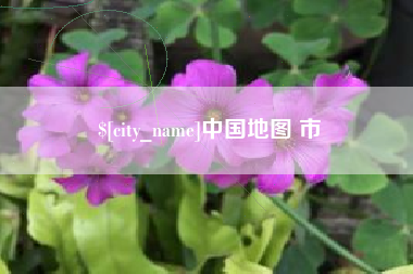 阜阳中国地图 市