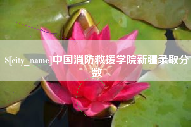 阜阳中国消防救援学院新疆录取分数