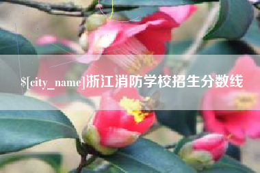 阜阳浙江消防学校招生分数线