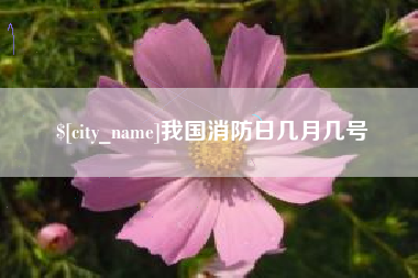 阜阳我国消防日几月几号