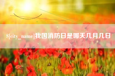 阜阳我国消防日是哪天几月几日