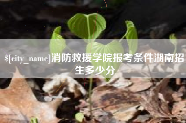 阜阳消防救援学院报考条件湖南招生多少分