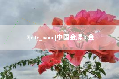 阜阳中国金牌18金