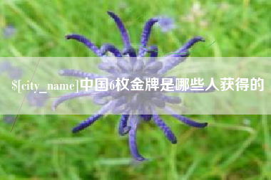 阜阳中国6枚金牌是哪些人获得的
