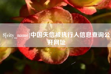 阜阳中国失信被执行人信息查询公开网址
