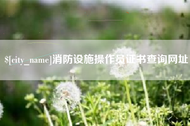 阜阳消防设施操作员证书查询网址