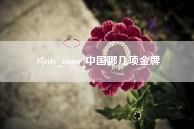 阜阳中国哪几项金牌