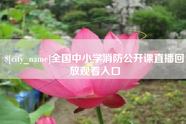 阜阳全国中小学消防公开课直播回放观看入口