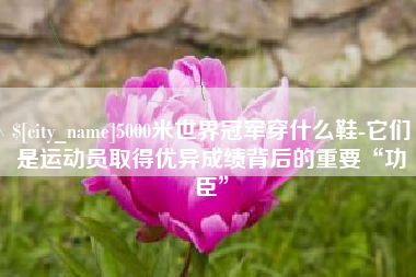 阜阳5000米世界冠军穿什么鞋-它们是运动员取得优异成绩背后的重要“功臣”