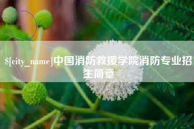 阜阳中国消防救援学院消防专业招生简章