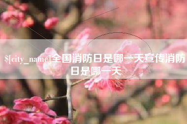 阜阳全国消防日是哪一天宣传消防日是哪一天