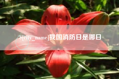 阜阳我国消防日是哪日