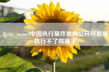 阜阳中国执行案件查询公开网都是执行不了得案子