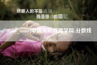 阜阳中国消防救援学院 分数线