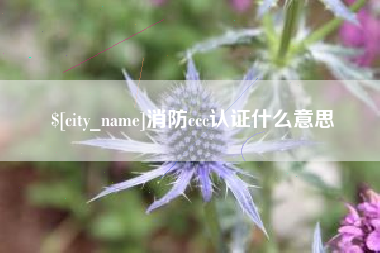 阜阳消防ccc认证什么意思