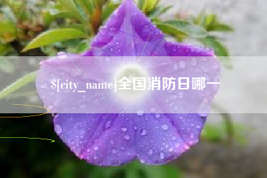 阜阳全国消防日哪一