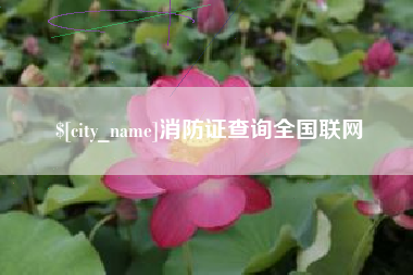 阜阳消防证查询全国联网