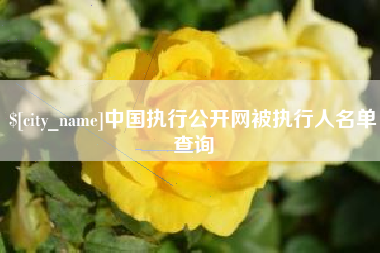 阜阳中国执行公开网被执行人名单查询