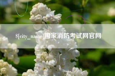 阜阳国家消防考试网官网