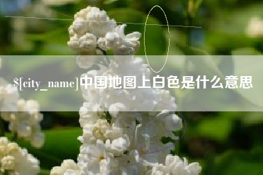 阜阳中国地图上白色是什么意思