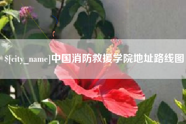 阜阳中国消防救援学院地址路线图