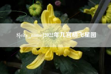 阜阳2022年九宫格飞星图