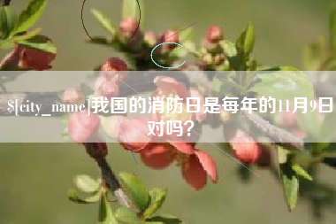 阜阳我国的消防日是每年的11月9日对吗？