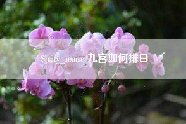 阜阳九宫如何排日