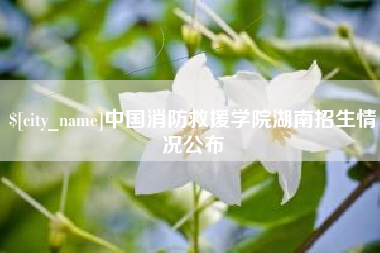 阜阳中国消防救援学院湖南招生情况公布