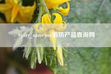 阜阳ccc消防产品查询网