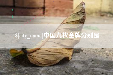 阜阳中国九枚金牌分别是