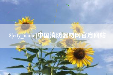 阜阳中国消防器材网官方网站