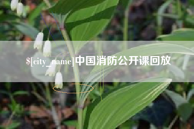 阜阳中国消防公开课回放