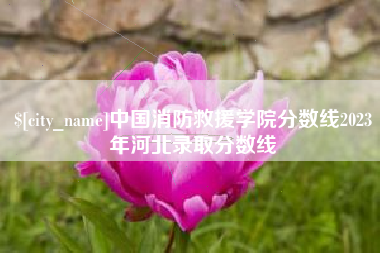 阜阳中国消防救援学院分数线2023年河北录取分数线