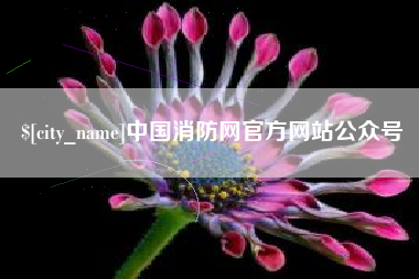 阜阳中国消防网官方网站公众号