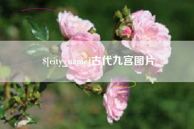 阜阳古代九宫图片