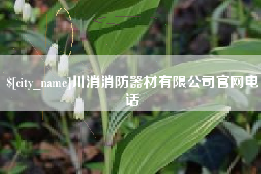 阜阳川消消防器材有限公司官网电话