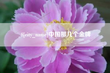 阜阳中国那几个金牌