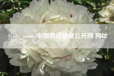 阜阳中国执行信息公开网 网址