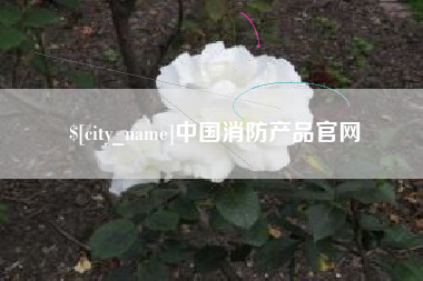 阜阳中国消防产品官网