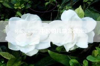 阜阳中国的几块金牌2021