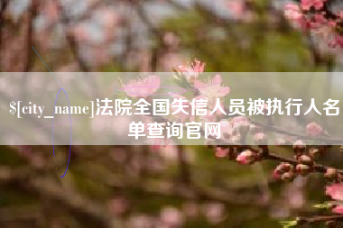 阜阳法院全国失信人员被执行人名单查询官网