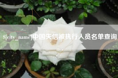 阜阳中国失信被执行人员名单查询