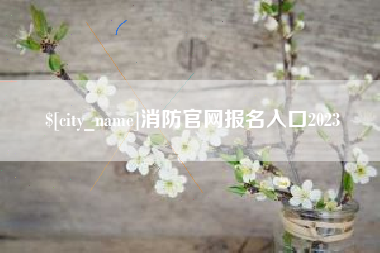阜阳消防官网报名入口2023