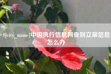 阜阳中国执行信息网查到立案信息怎么办