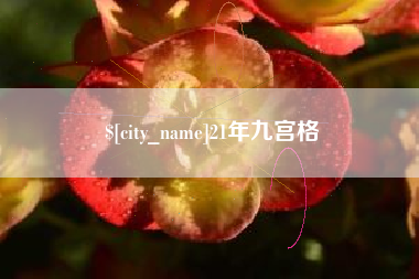 阜阳21年九宫格