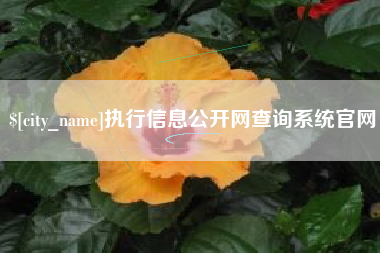阜阳执行信息公开网查询系统官网