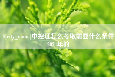 阜阳中控证怎么考取需要什么条件2024年的